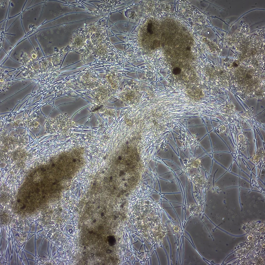 Sensara - Soluciones integrales para mejorar el rendimiento de plantas de tratamiento de aguas